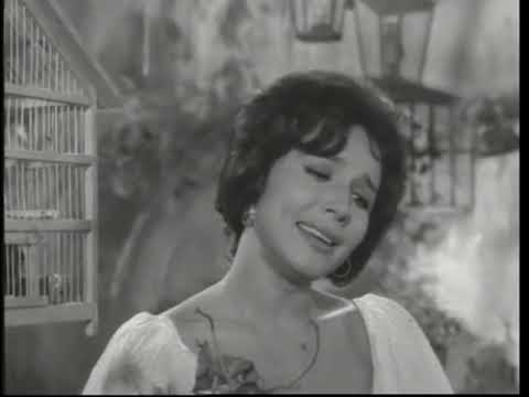 Cariño bonito (video musical de Flor Silvestre) HD