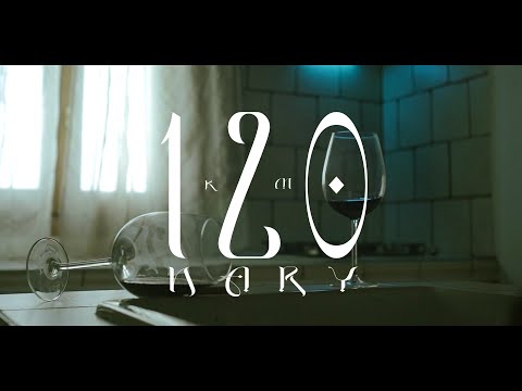 NARY - 120 (Official Video)