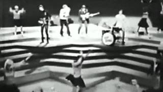 The Lovin&#39; Spoonful - Do You Believe In Magic - 1965