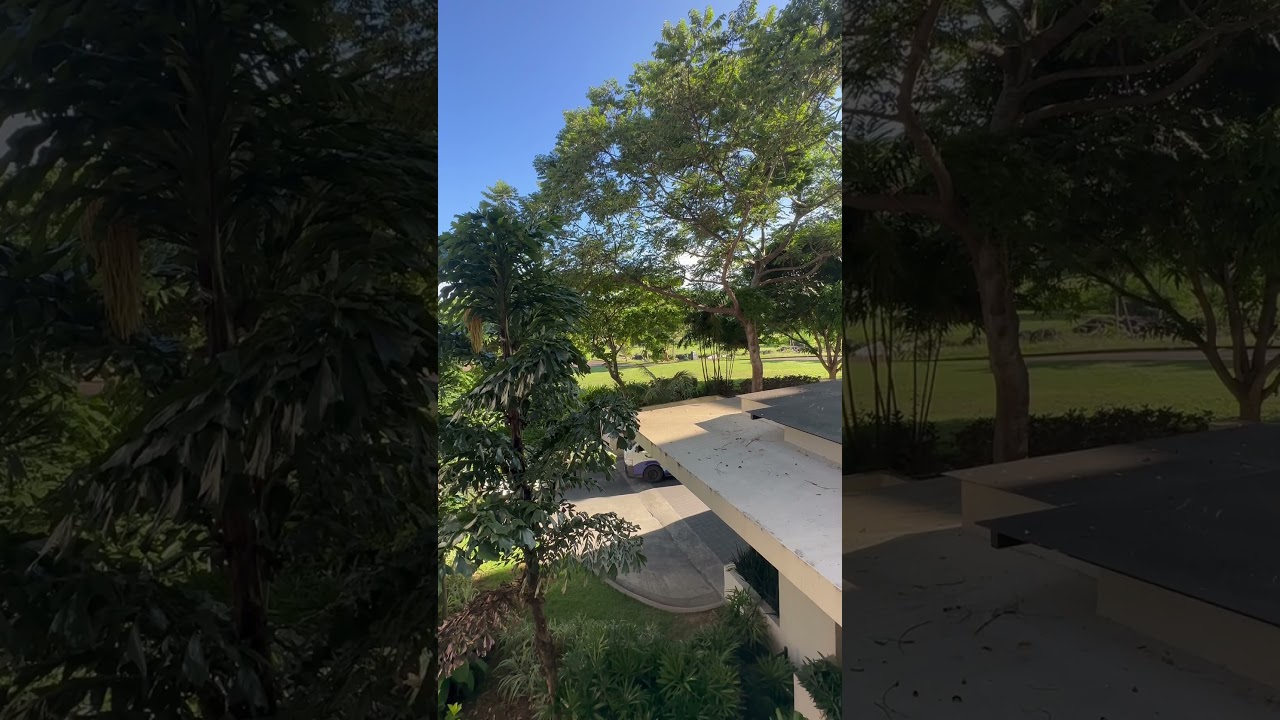 YouTube Short thumbnail