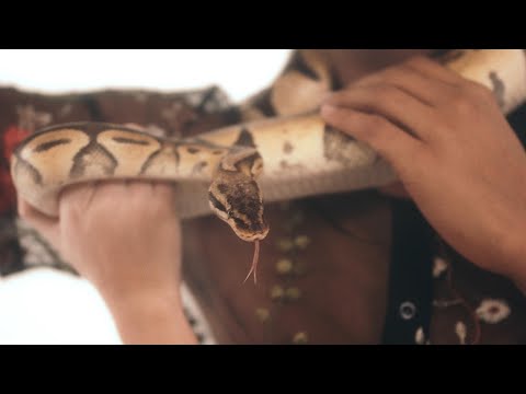 Young Rifle - Real  (Music Video)