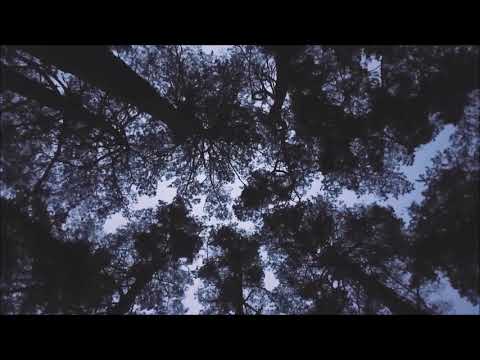 Oktet Gallus   Bori Alojz Srebotnjak