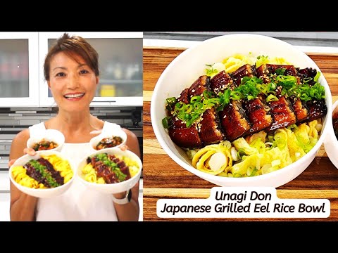 Unagi Don- Japanese Grilled Eel Rice Bowl/鰻魚飯/장어덮밥
