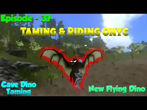 Onyc Saddle