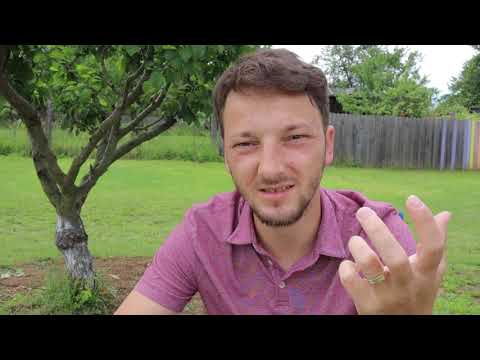 Niciodată nu v-am cunoscut (Matei 7:23) | Tălmăciri Ep.05