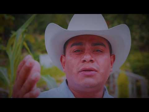 QUE BONITO ES EL AMOR - JOEL HERNANDEZ