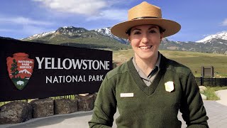 Top 10 Ranger Tips for planning a summer visit to Yellowstone 2023