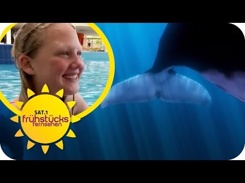 Mit Walen in der Karibik schwimmen: Virtual Reality machts möglich! | SAT.1 Frühstücksfernsehen