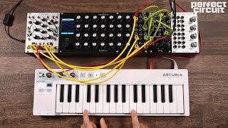 Video thumbnail for Synthesis Technology E370 With WORNG Soundstage by Perfect Circuit