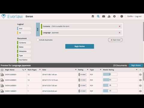 Everlaw's Language Tools