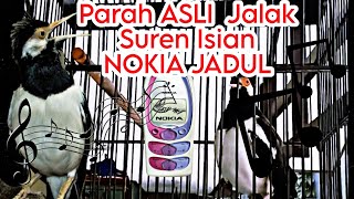 Download lagu PARAH Jalak Suren Isian Nada Dering HP Jadul mp3