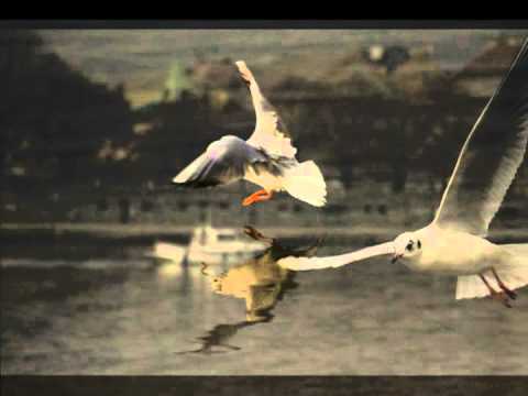 Blanka Havlickova - Fotky, Lucie Bila - Byt ditetem