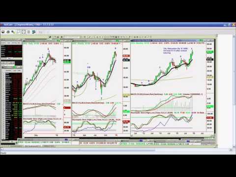 December 31st Tiger Technicians Hour with Basil Chapman on TFNN - 2015