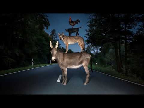 chalotte de witte Raving George feat  Oscar And The Wolf   Youre Mine 126BPM