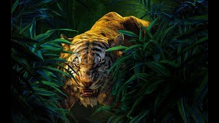 [BigRoom] Nevillex - Welcome To The Jungle