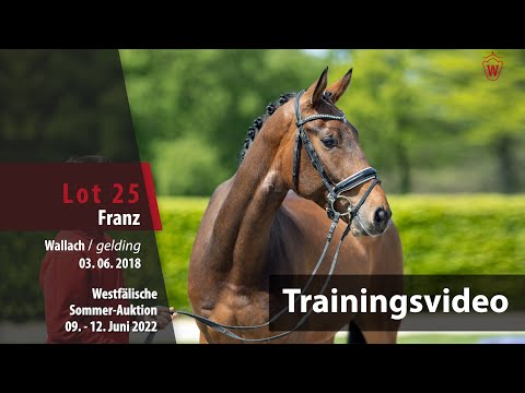 Sommer-Auktion Training Lot 25 Franz Wallach v. Franziskus - Rock Forever I