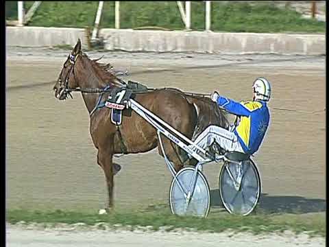 Trotto 09/03/2018 - 2ª corsa