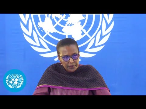 Video Thumbnail: Central African Republic: Progress, Fragility & Peace Challenges - MINUSCA Briefing | United Nations
