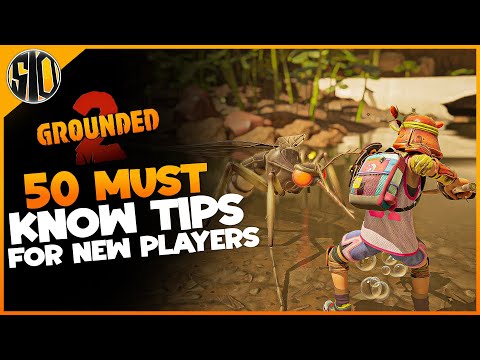 50 Grounded 2 Tips You Wish You Knew Sooner