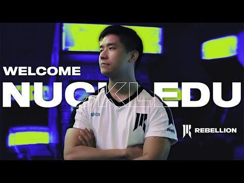 NuckleDu Announcement + Arm The Rebels Cup Reveal | Shopify Rebellion Street Fighter