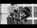 AMV Miraclous Ladybug Attention Silver Cat