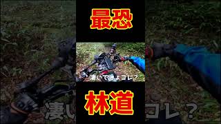 カブで行く場所じゃない！日本最恐の極悪廃道「甲子林道」をハンターカブで完全走破！（CT110＆CT125）#オフロードバイク#ハンターカブ#林道ツーリング