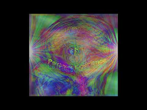 The Cleaner   Psypnotic Experience   Psychedelic Goa Trance   Hippie Trippie Night Sound   2018