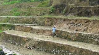 preview picture of video 'Rice_Terraces_1'
