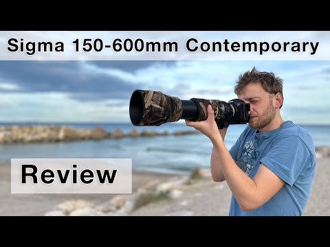 Great value or a waste of money? Sigma 150-600mm Contemporary Review