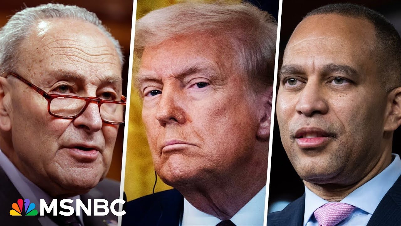 Democrats want party leaders to 'fight' Trump and his policies – but what does that look like?