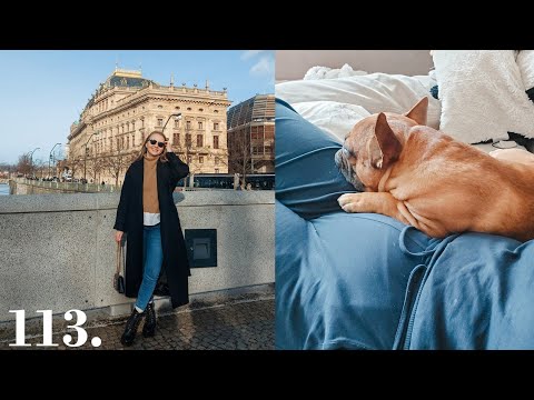 VLOG | Tohle jsem potřebovala & nové vlasy