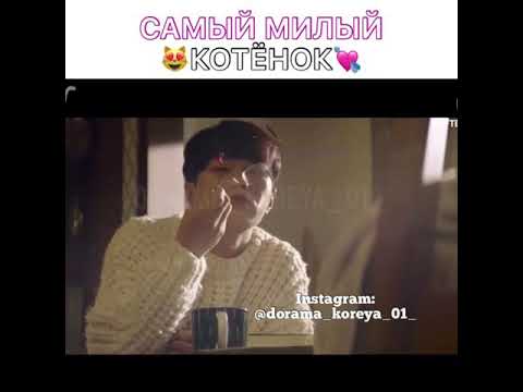 💘Самый милый котёнок 😻