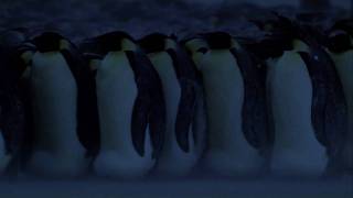 Vangelis - My Face in the Rain (with Planet Earth clip)