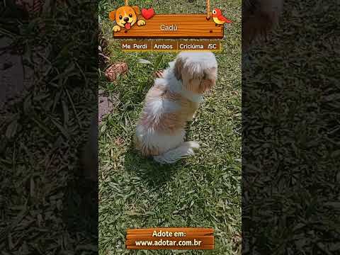 Vídeo de Cadú