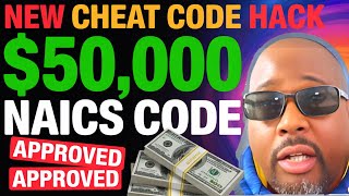 The Best 5 NAICS Codes That Guarantee ANYONE $50,000 Business Funding Approval in 2025