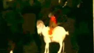 The Magic Goat Cult - Magic Goat