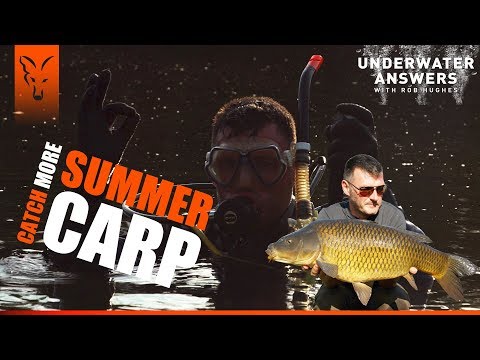 UNDERWATER ANSWERS: CATCH MORE SUMMER CARP