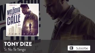 Tony Dize Ft. Farruko - Si No Te Tengo (Official Audio)