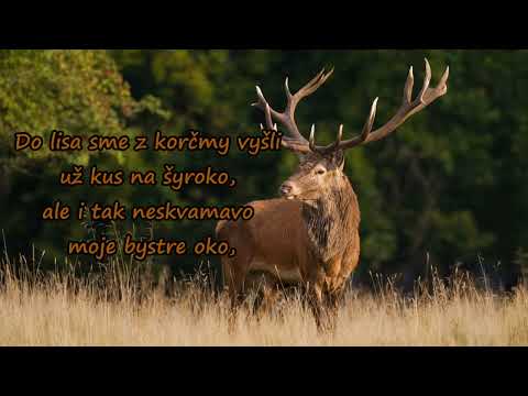 Daniel Piter-Bučko - Poľovačka /2023 (lyrics)