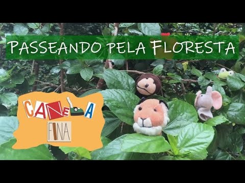 Canela Fina Online - Passeando pela Floresta