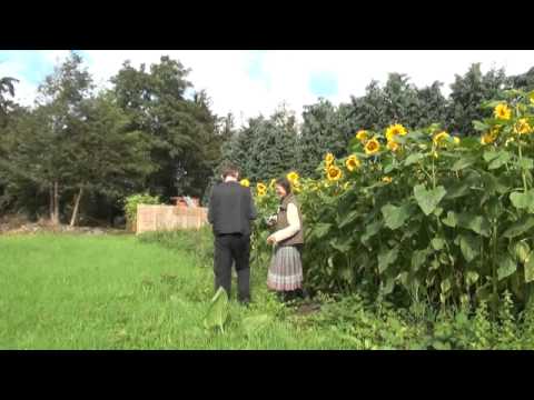 Kräuterweihe Teil 1