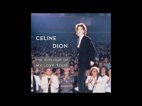 Céline Dion, Terry Bradford - When I Fall in Love (Live in Birmingham, 1995)