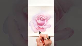 How to paint Amazing Watercolor Rose bloom with Flat brush strokes technique