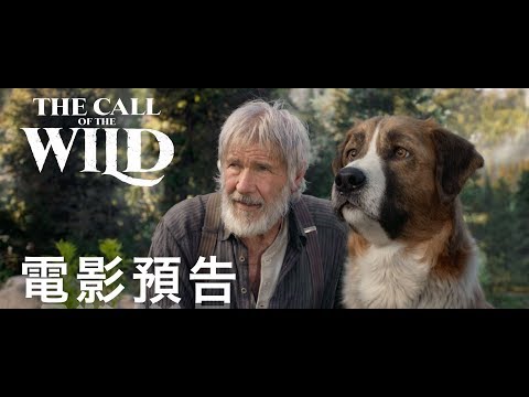 極地守護犬電影海報