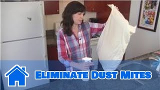 Household Cleaning : How to Eliminate Dust Mites