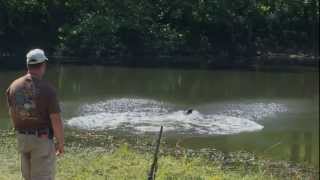 preview picture of video 'Water Dogs | Indiana DNR'