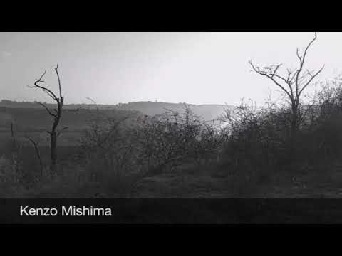 "Nullo modo" @kenzo_mishima SOMA COSMOS & SOMA LYRA 8, STRYMON NIGHTSKY, Elektron Octatrack MKII