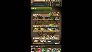 パズドラ シャーマンキングコラボ引いたんだけど
