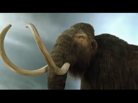 Mammoths