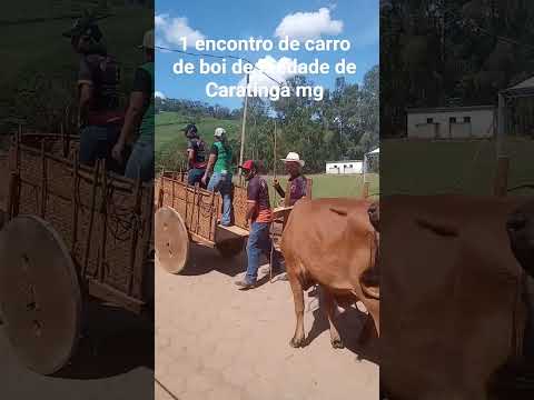 1 em contrato de carro de boi de Piedade de Caratinga mg